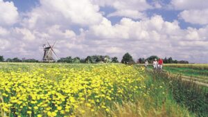 img_regiomaris_föhr_mühle