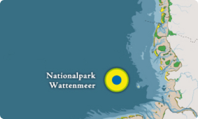 Logo_Nationalpark_Wattenmeer