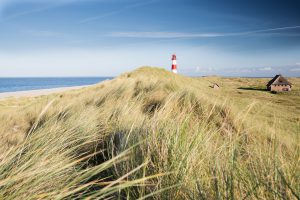 img_regiomaris_sylt_leuchtturm-duene