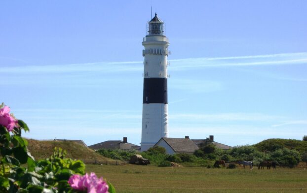 img_regiomaris_sylt_leuchtturm_strand