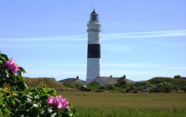 img_regiomaris_sylt_leuchtturm_strand