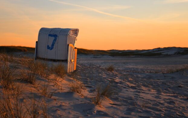 pexels-niklas-jeromin-10379106